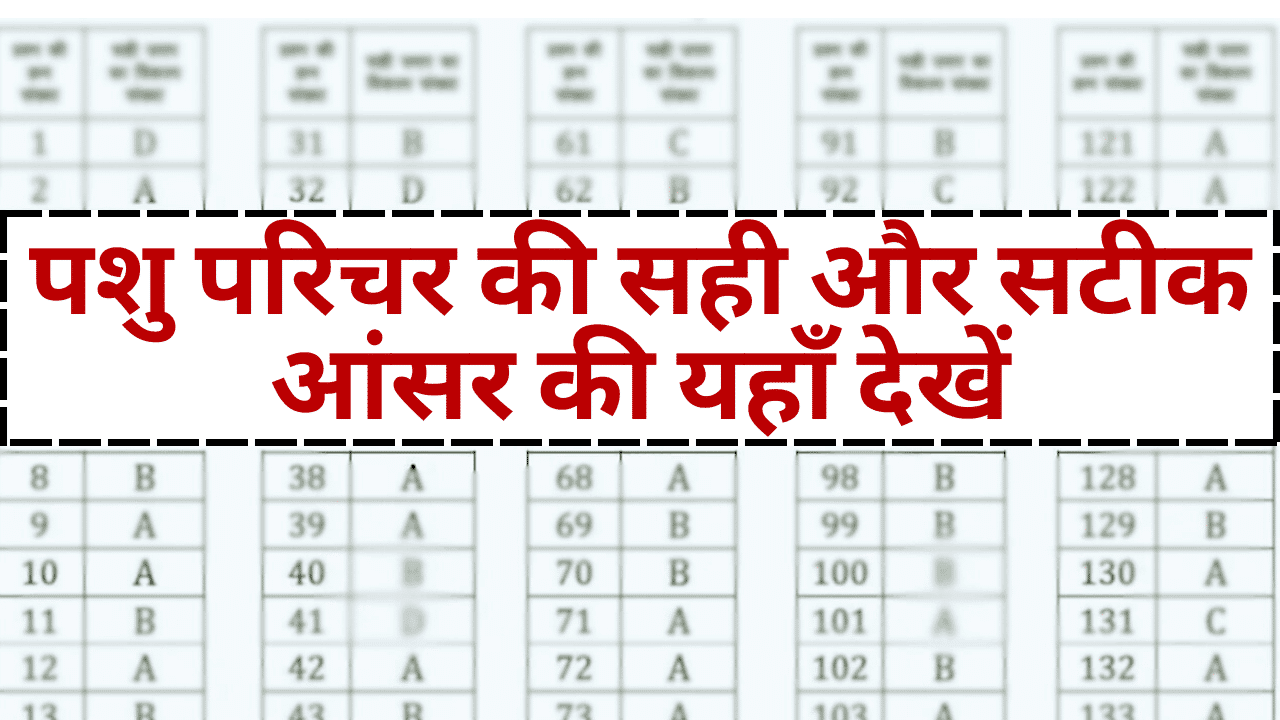 Animal Attendent Answer Key